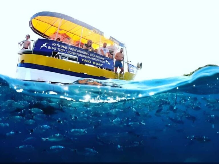 Boat Trip Coastal Tour from Faana to Pula and snorkelling - What’s Included and What to Bring