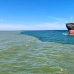 Boat trip to the Danube's mouth at the Black Sea - The Significance of the Delta and Its Waters