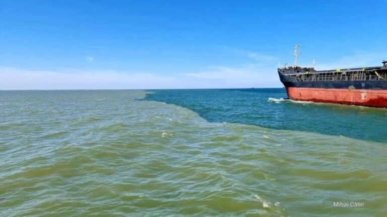Boat trip to the Danube's mouth at the Black Sea - The Significance of the Delta and Its Waters