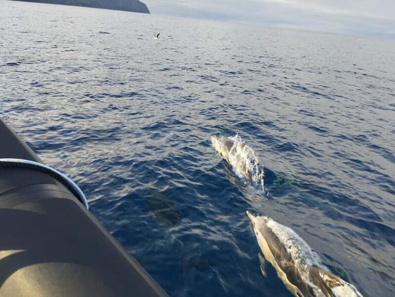 Boat trips to Corvo Island - Final Thoughts: Is This Trip Worth It?