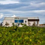 BODEGAS PANDORA: tour through vineyards and winery with wine tasting. - What You Can Expect
