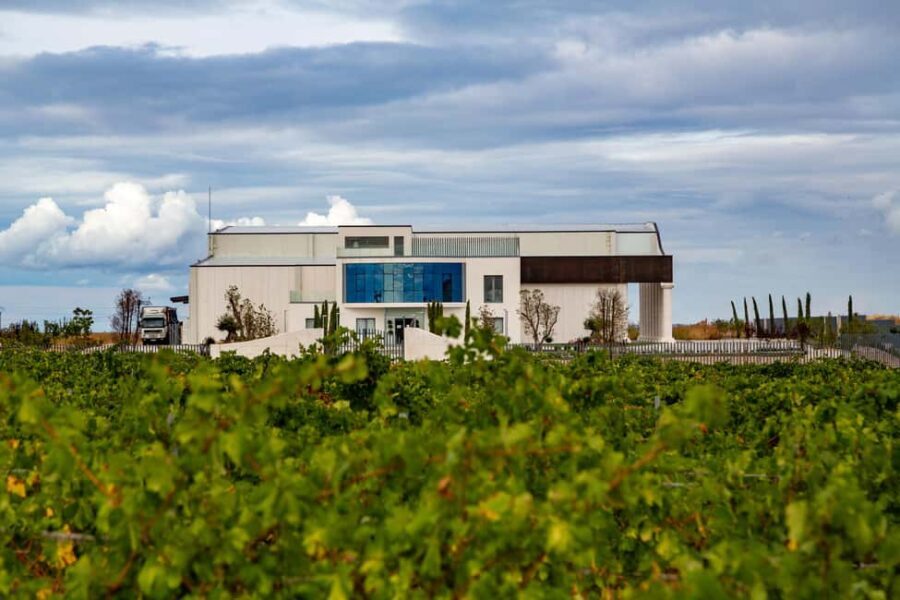 BODEGAS PANDORA: tour through vineyards and winery with wine tasting. - What You Can Expect