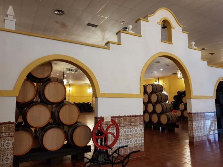Bodegas Quitapenas: Guided Visit + Wine Tasting - What We Loved and What to Keep in Mind