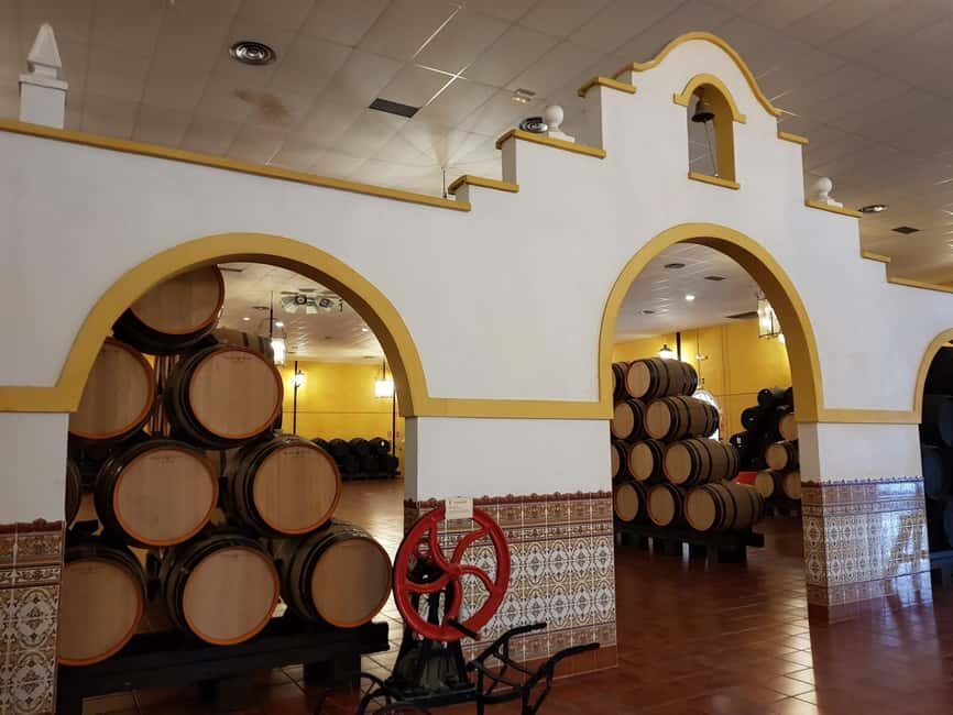 Bodegas Quitapenas: Guided Visit + Wine Tasting - What We Loved and What to Keep in Mind