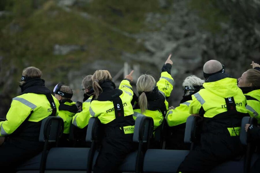 Bodø: Saltstraumen RIB Boat Tour and Eagle Watching - Cost and Value