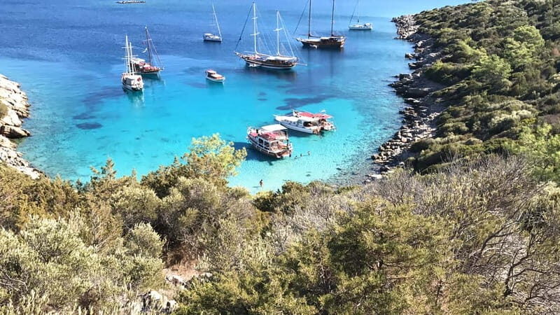 Bodrum: Boat Tour for Mein Schiff Cruise Passengers - What Are the Downsides?