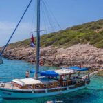 Bodrum: Bodrum Private Boat Tour for Cruise Customers - Who Would Love This Tour?