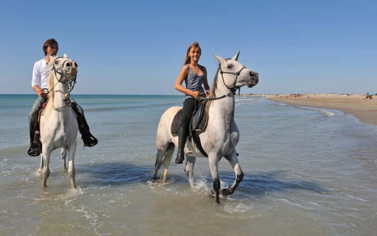 Bodrum: Horseback Riding Experience with Hotel Transfer - The Experience’s Highlights