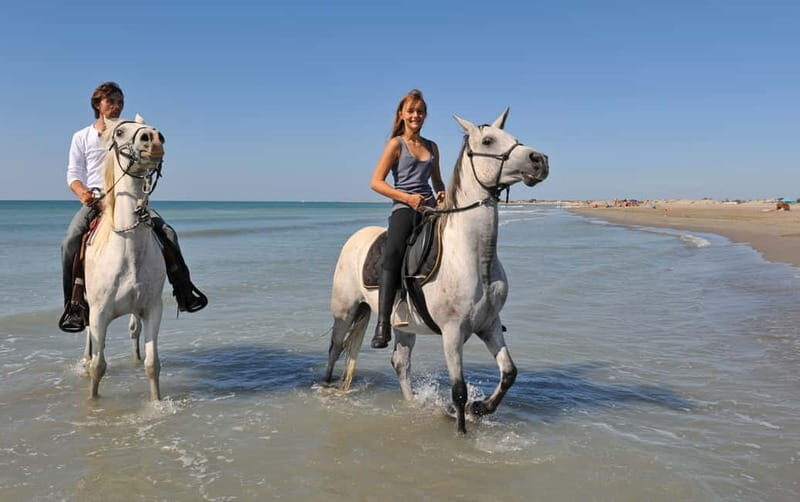 Bodrum: Horseback Riding Experience with Hotel Transfer - The Experience’s Highlights