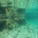 Bodrum: Karaada Boat Cruise with Lunch - What Travelers Say