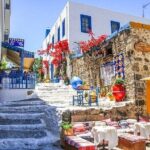 Bodrum-Kos-Bodrum Same Day Return Ferry Ticket from Cruise Port - Authentic Traveler Insights