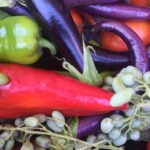 Bodrum: Market Visit and Cooking Class - Authenticity and Reviews