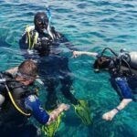 Bodrum Scuba Diving Tour With Free Hotel Transfer By Locals - What’s Included and What Not