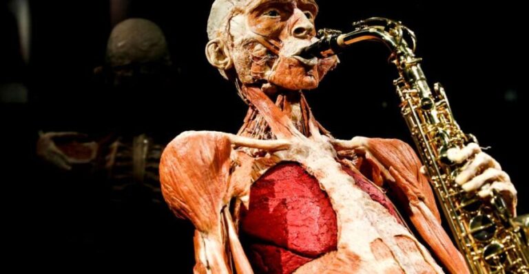 Body Worlds Amsterdam: The Happiness Project Ticket - The Experience and Layout