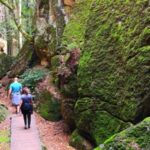 Bohemian Paradise Private Hiking Tour - Day Trip From Prague - The Highlights: What You Can Expect