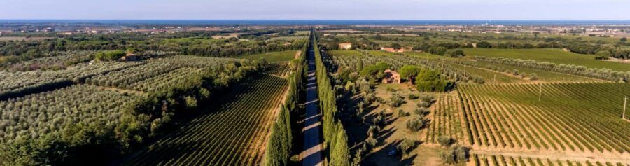 Bolgheri: Guided Walking Tour of the Village - The Experience in Practice