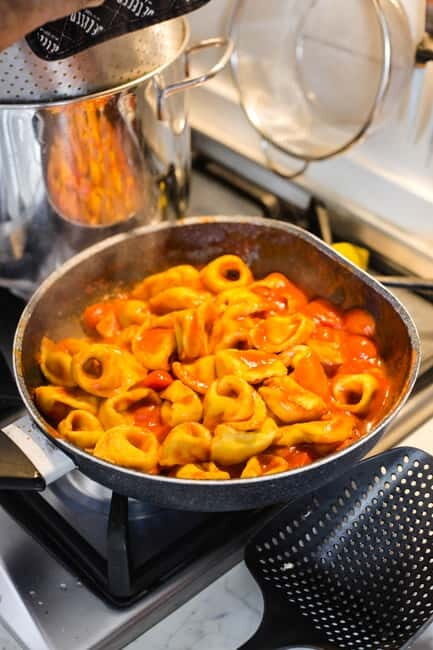 Bologna: 3 Pastas, Tiramisu and Unlimited Wine Tasting - Who Will Love This Experience?