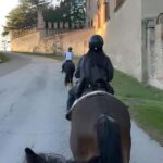 Bologna: Horseback Ride in the Bolognese Hills - Key Points