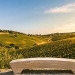 Bologna: Olive Grove and Vineyard Tour with Product Tastings - Who Will Love This Tour?
