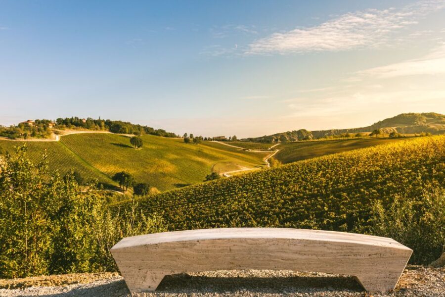 Bologna: Olive Grove and Vineyard Tour with Product Tastings - Who Will Love This Tour?