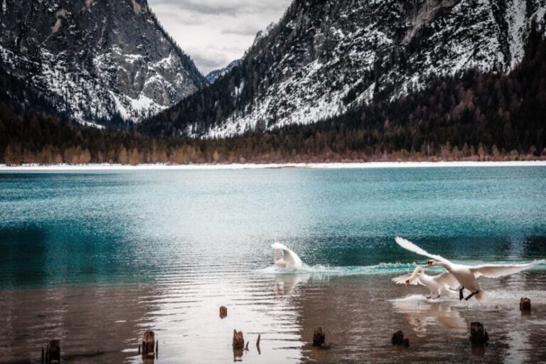 Bolzano: Best of the Dolomites in One Day Private Tour - What the Reviews Say