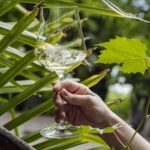 Bolzano: Wine Tasting at SKYWINE Pavilion with Views - Who Is This Tour For?