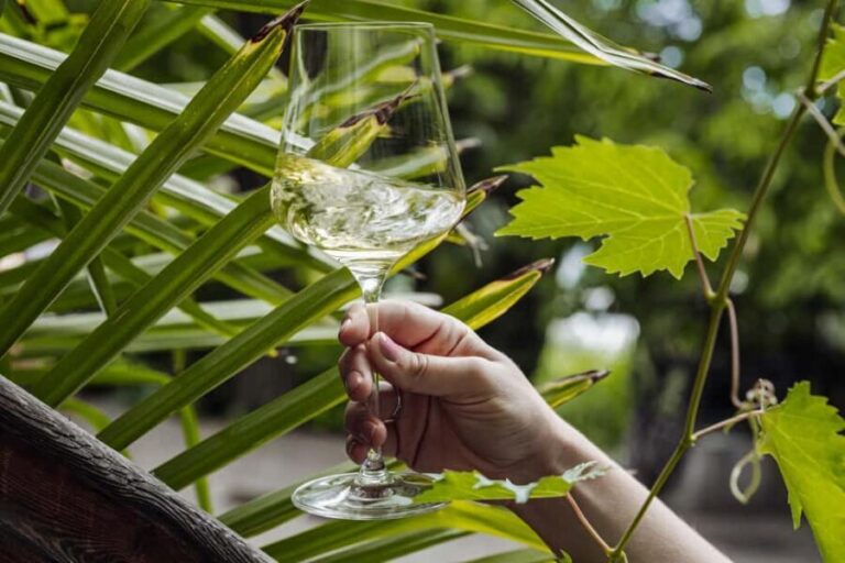 Bolzano: Wine Tasting at SKYWINE Pavilion with Views - Who Is This Tour For?