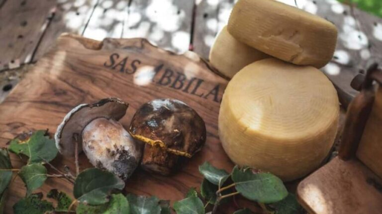 Bonorva: discover a farm with traditional lunch - A Detailed Look at the Bonorva Farm Experience