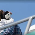 Boothbay: Lighthouses & Islands Harbor Cruise - Authentic Traveler Perspectives