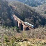 Boppard: Winter hike with punch and gingerbread - Why This Tour Might Work for You