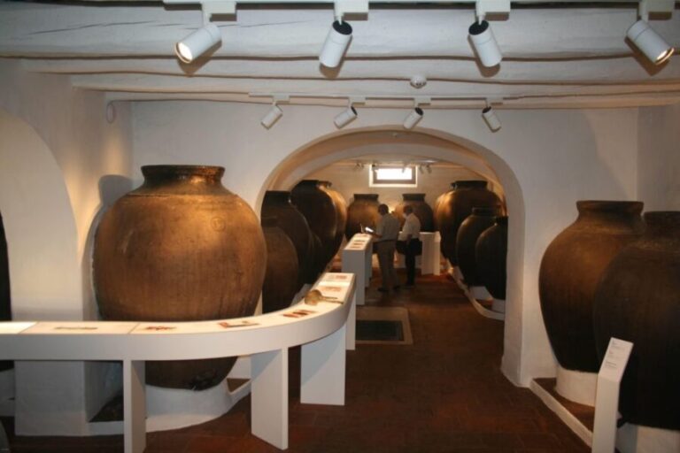 Borba: Interactive Amphora Wine Tour and Tasting - Key Points