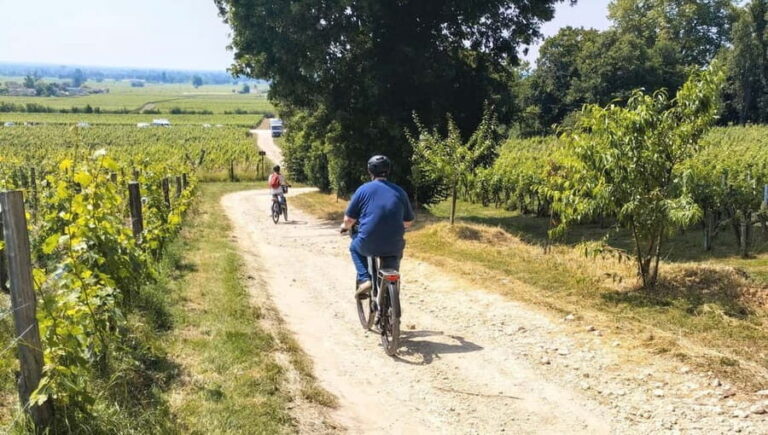 Bordeaux by Gravel Bike : Monumets, vineyards & wine tasting - City Highlights and Scenic Stops