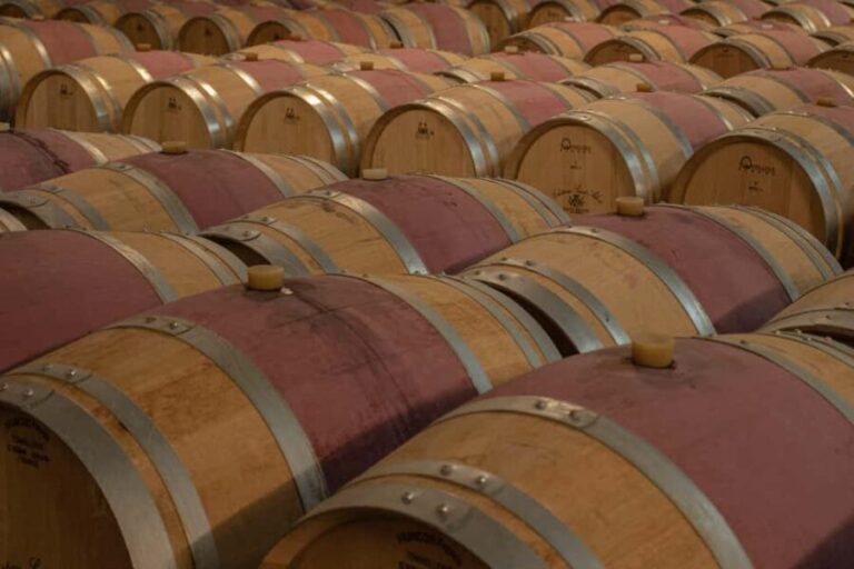 Bordeaux: Château Saint Ahon classic tour - What to Expect from the Château Saint Ahon Tour