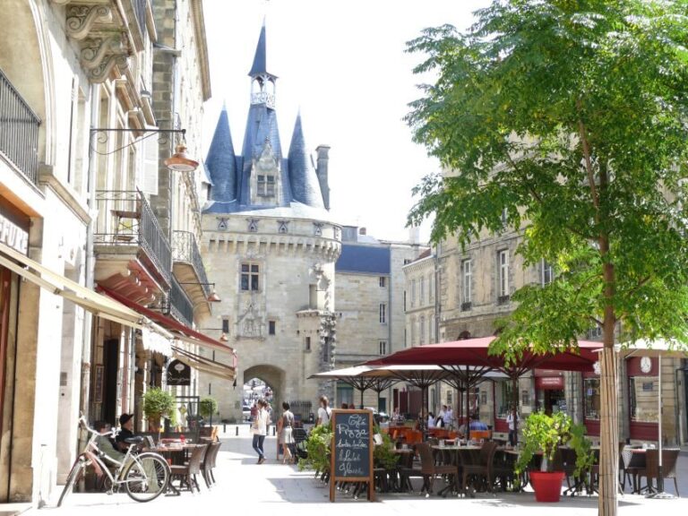 Bordeaux: Guided Walking Tour - A Closer Look at the Highlights