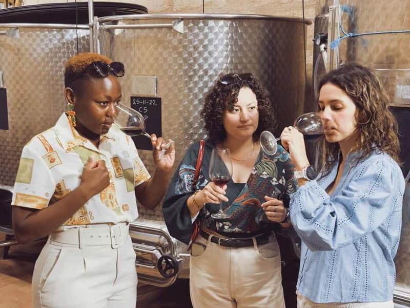 Bordeaux: Half-Day Private Natural Wine Tour & Tasting - What to Expect from the Experience