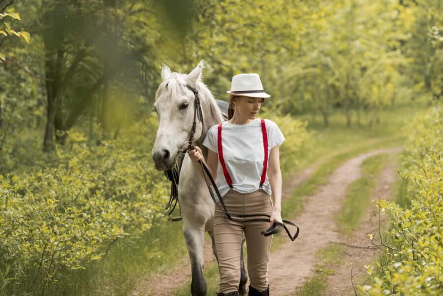 Bordeaux: Private Horseback Ride + Wine Tasting + Picnic - Who Would Love This Tour?