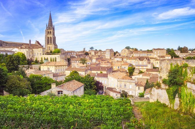 Bordeaux Shore Excursion: Private Bordeaux and St-Emilion Tour - Who Should Consider This Tour?