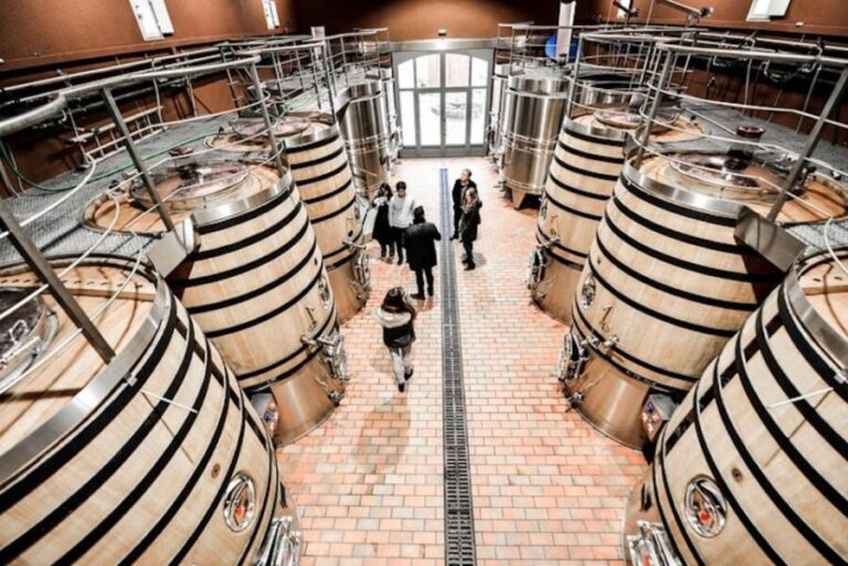 Bordeaux: St-Emilion and Medoc Wine Day Tour with Lunch - What’s the Overall Experience Like?