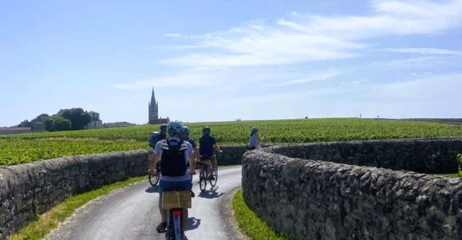 Bordeaux: St-Emilion Vineyards e-Bike Tour with Wine & Lunch - What Makes This Tour Stand Out?