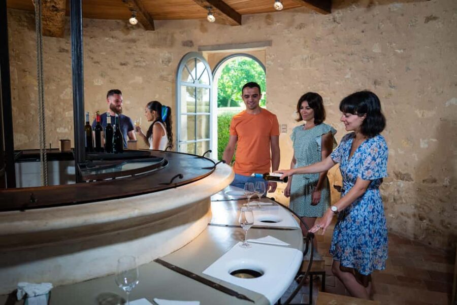 Bordeaux: Visite/dégustation hédoniste au Château de Reignac - The Wines and Tasting Experience