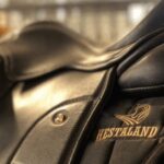 Borgarnes: Horseback Riding Tour with Prep Lesson - The Value of a Horseback Ride in Iceland