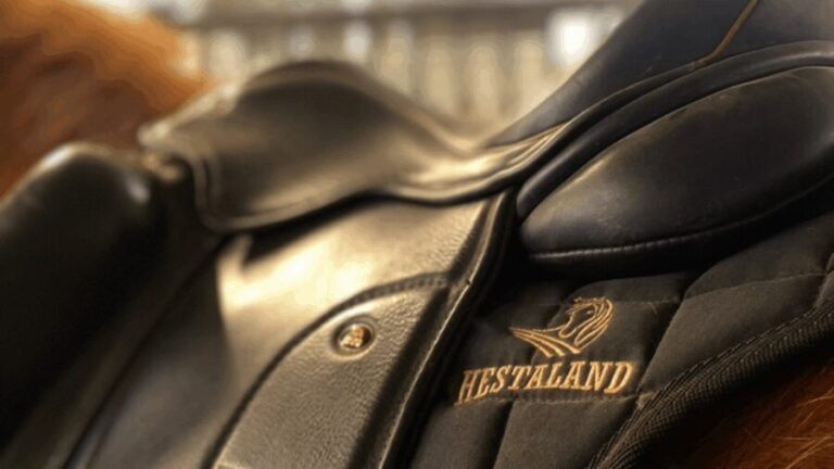 Borgarnes: Horseback Riding Tour with Prep Lesson - The Value of a Horseback Ride in Iceland