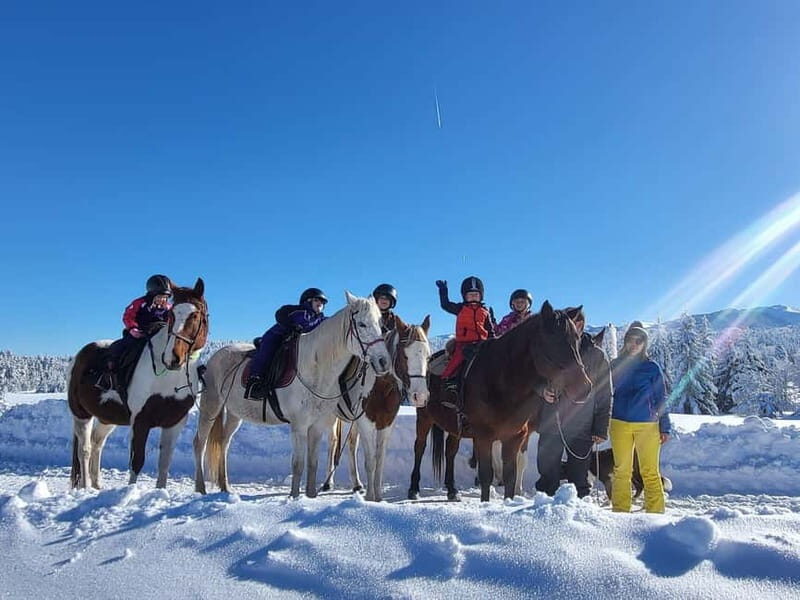 Borovets: Horse Riding Experience - What’s Included and What to Expect