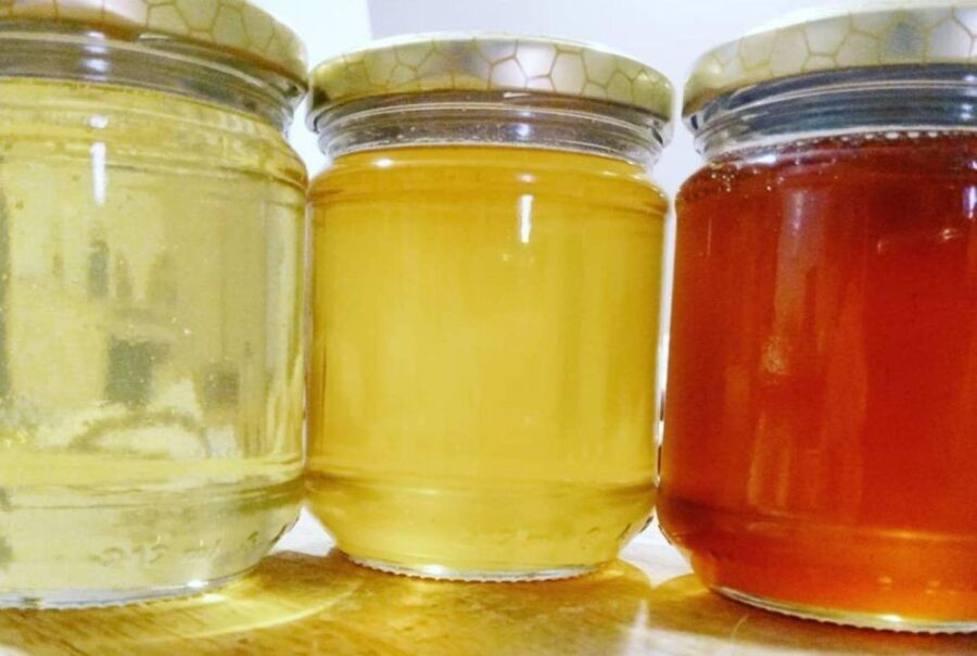 Bosa: discover the products of the beehive - Who Will Get the Most Out of This Tour?