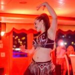 Bosphorus Dinner Show Cruise With Non Alcoholic Menu ISTANBUL Dinner cruise - Who Should Consider This Cruise?