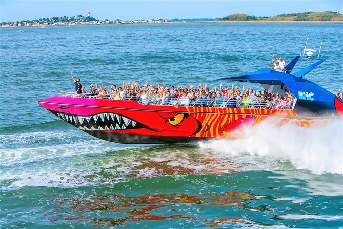 Boston Codzilla High-Speed Thrill Boat Ride - Practical Details and Value