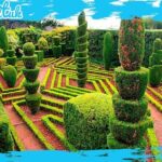 Botanical Gardens + Old Town Tuk-Tuk Private Tour by MadTuk - Final Thoughts