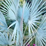 Botanical Tour and waterfall swim at The Cloudforest Bioreserve - Is This Tour Right for You?