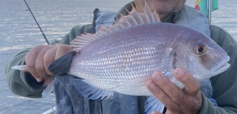 Bottom Fishing Lagos - How Good Is the Value?