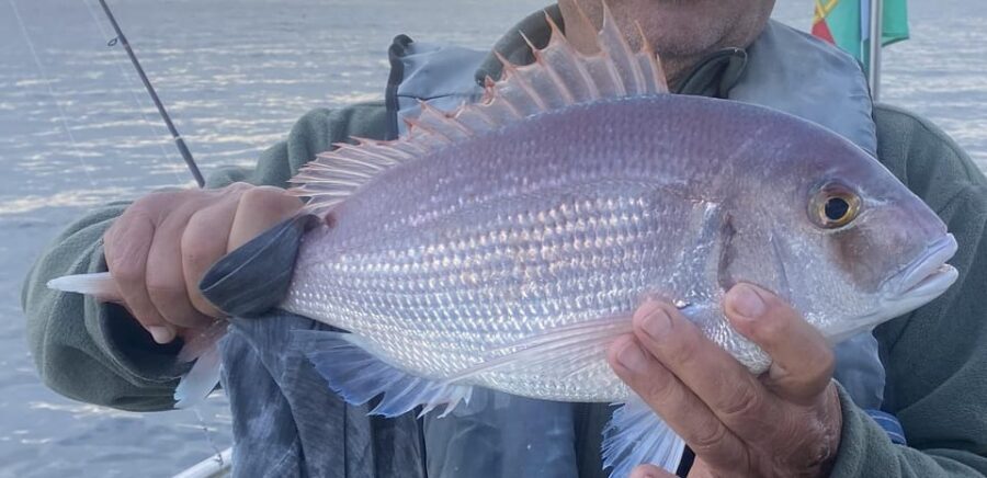 Bottom Fishing Lagos - How Good Is the Value?